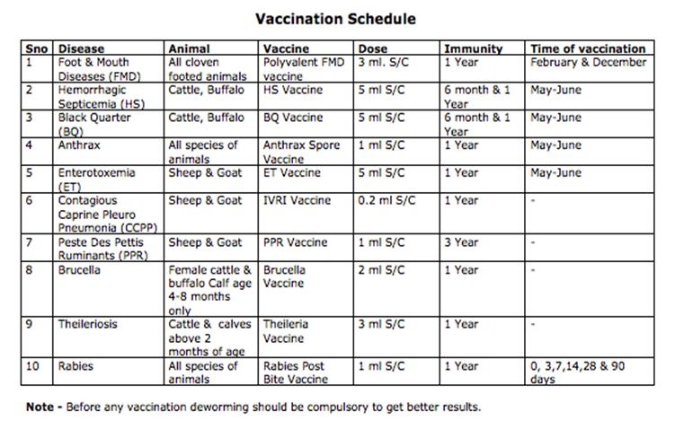 vaccination schedule for goats