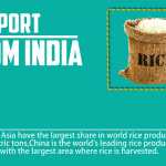 rice export