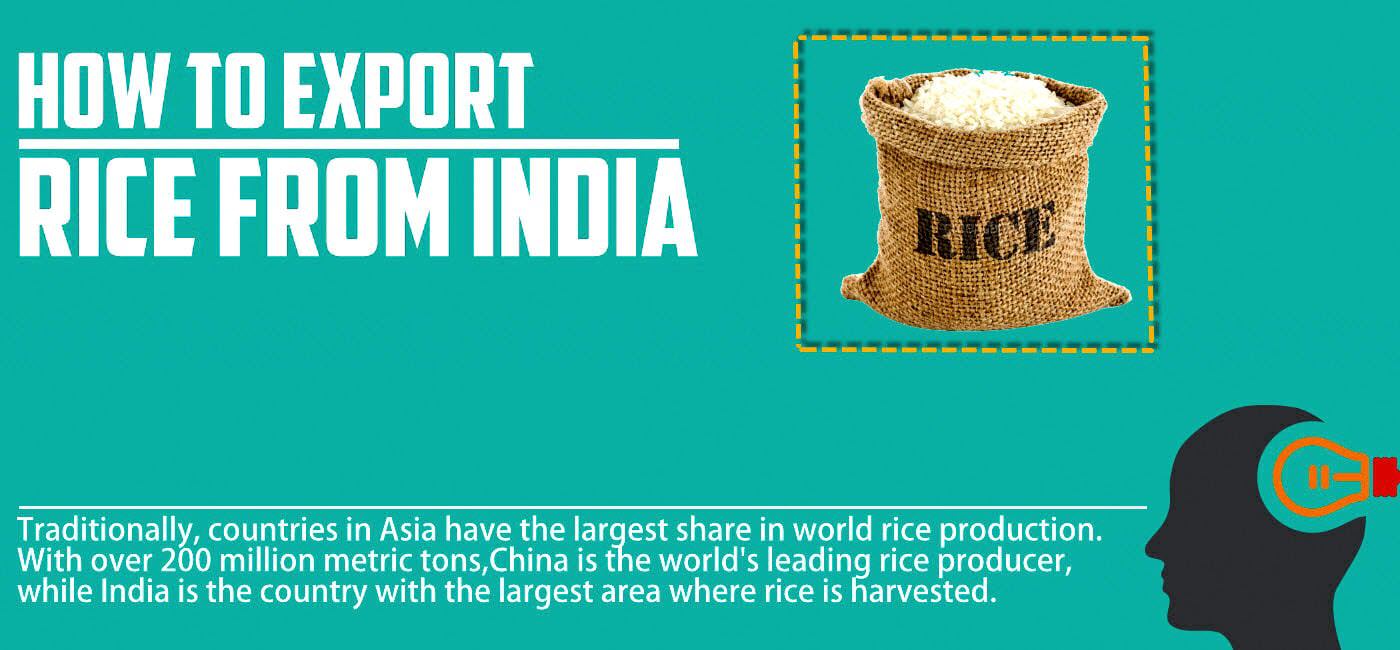 rice export business plan