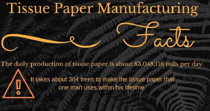 tissue paper manufacturing business plan in india pdf