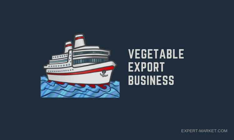 Crucial steps to take while starting a vegetable export business in India