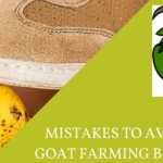 goat farming mistakes