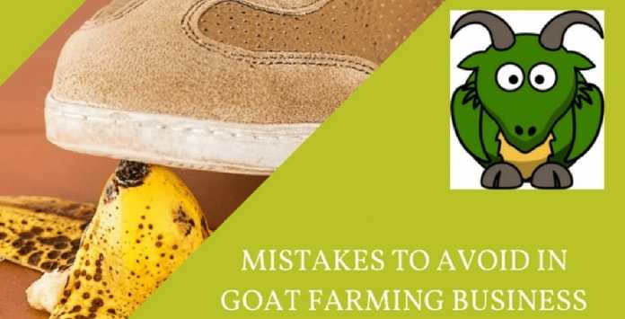 goat farm mistakes