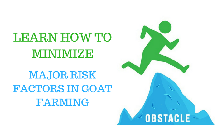 risk factor in goat farming