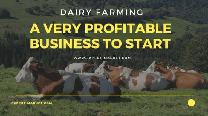 profitable dairy farm business plan