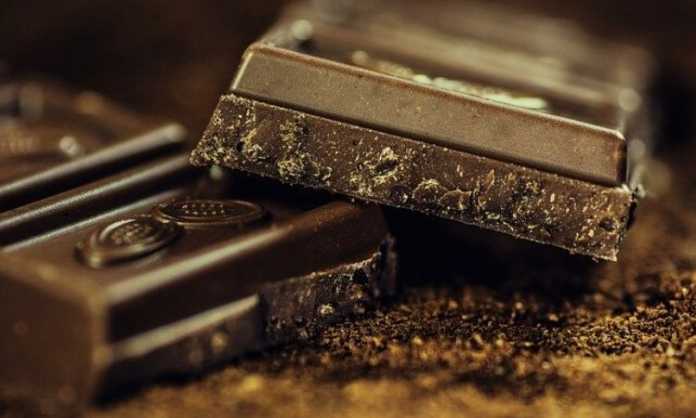 business plan of homemade chocolate