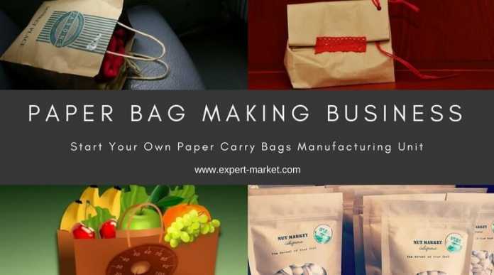 paper carry bags business plan