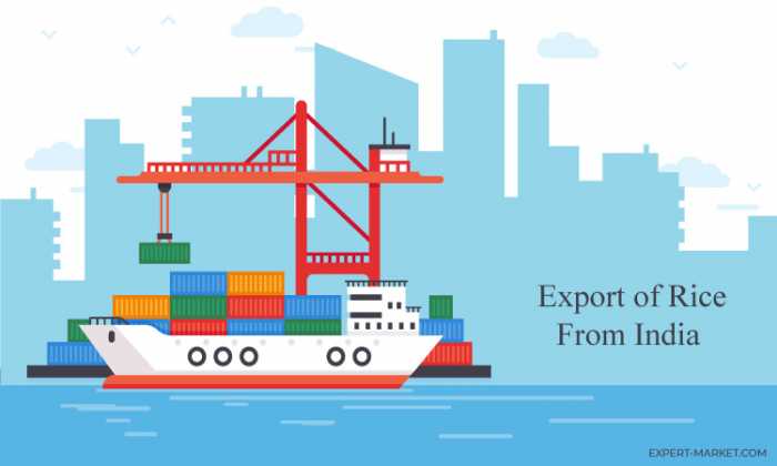 rice export business plan