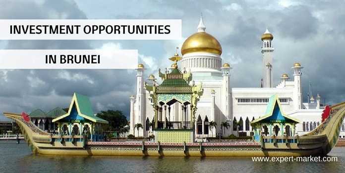 business opportunities brunei