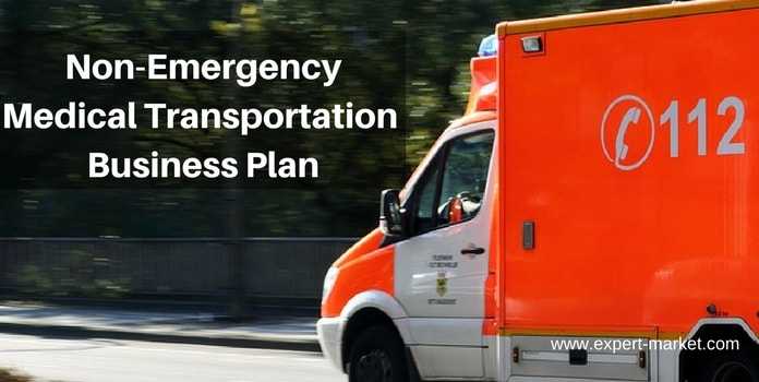 non emergency transportation business plan