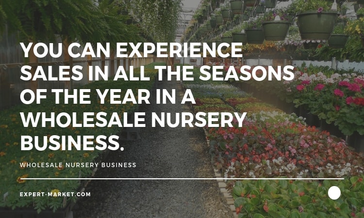 you can also become a plant nursery whole seller in the USA