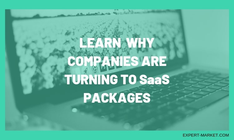 Why Every Business Should Invest in a SaaS Package