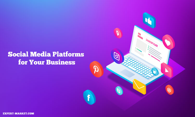 The Best Social Media Platforms