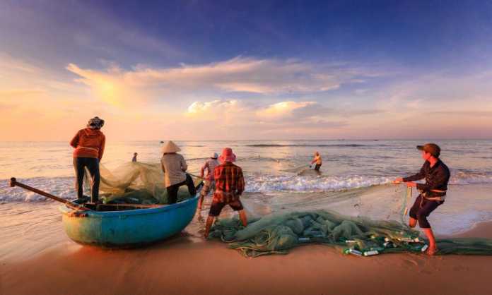 Fishing Industry